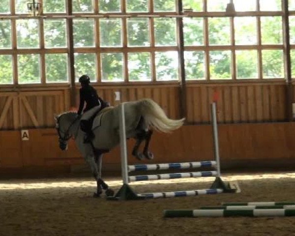Sommerturnier Fröndenberg 2015