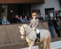 Zuchtstute Carla Cassini (Deutsches Reitpony, 2011, von Top Carlos Cassini)