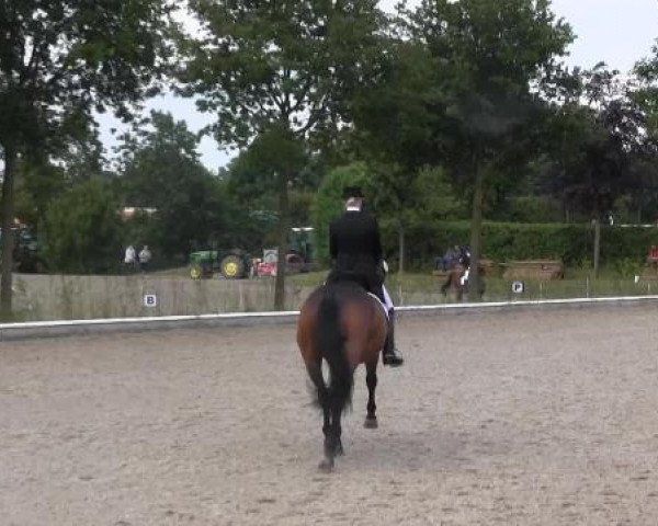 Sommerturnier Fröndenberg 2015
