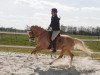 Zuchtstute Mai Girl (Deutsches Reitpony, 2013, von FS Mr. Right)