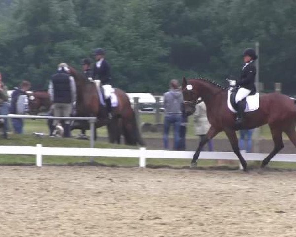 Coesfelder Reitertage 2015