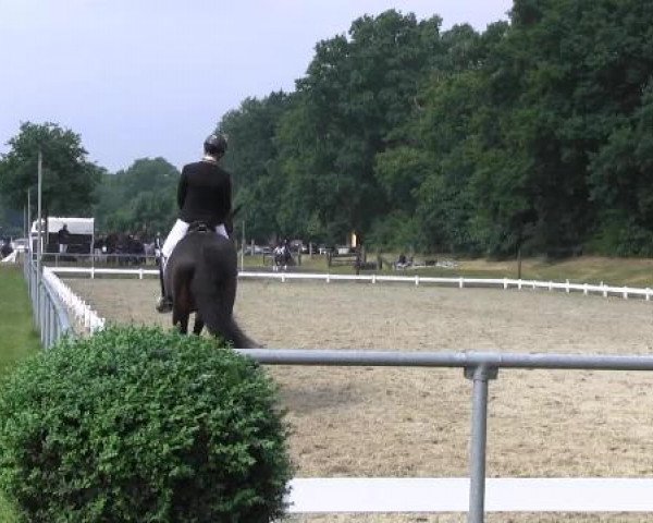 Coesfelder Reitertage 2015