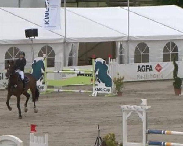 FEI Reitturnier Sommerstorf (GER) 2015