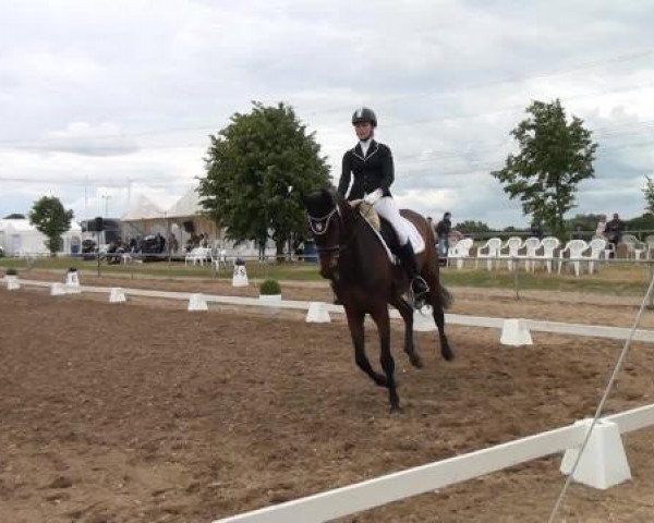 Sommerturnier RFV Heinsberg 2015