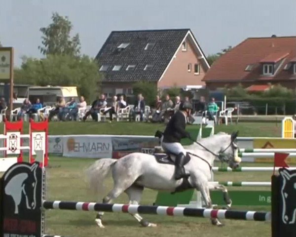 Fehmarn Pferdefestival 2015