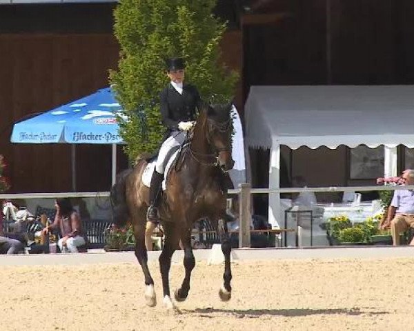 Dressurturnier Brunnthal-Riedhausen 2015