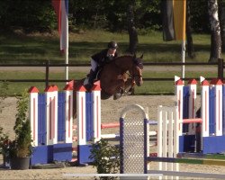 jumper Prince Charming K (Hanoverian, 2016, from Perigueux)