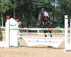 jumper Harry 167 (German Riding Pony, 2004, from Heartbreaker)