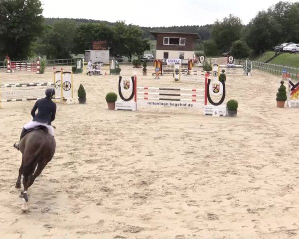 Reitturnier Kalenborn Hegehof 2015
