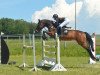 jumper Levistelle (German Sport Horse, 2009, from Levinus)