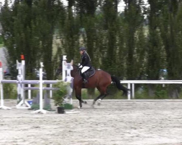 Reit-und Springturnier Dortmund West 2015
