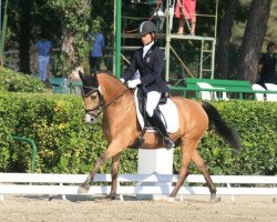 dressage horse Dalai 2 (German Riding Pony, 2000, from Derbino)