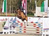 jumper Chacco Sadayakko San (Oldenburg show jumper, 2007, from Chacco-Blue)