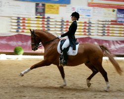 dressage horse FBW Dory's Dream (Württemberger, 2010, from Der Designer)