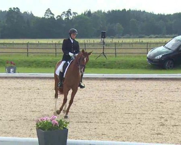 Dressurturnier Brunnthal-Riedhausen 2015
