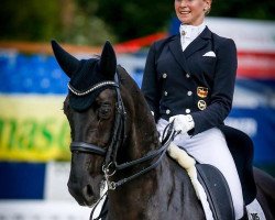 dressage horse Sir Max 4 (Hanoverian, 2011, from St. Moritz Junior)