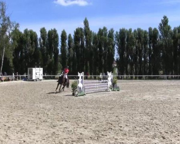 Reit-und Springturnier Dortmund West 2015
