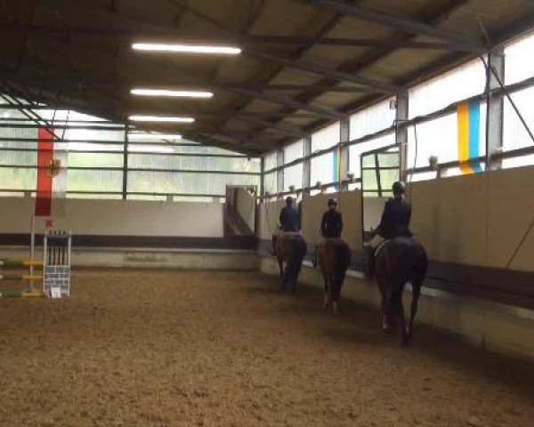 Reit-und Springturnier Dortmund West 2015