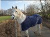 dressage horse Darling 205 (German Riding Pony, 1997, from Duktus)