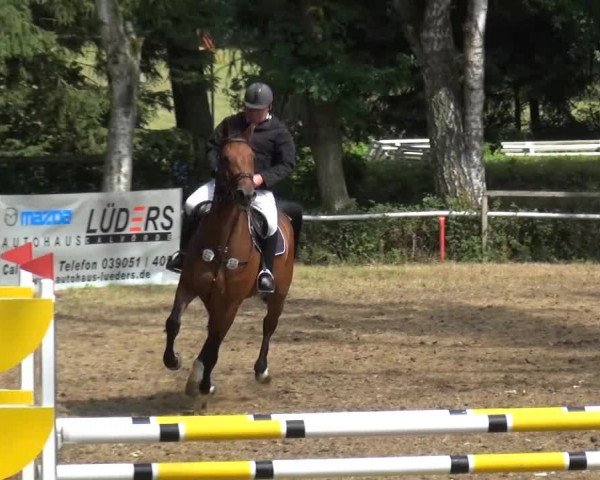 CSN Calvörde 2015