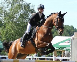 jumper Dancing Queen 177 (Polish Warmblood, 2009, from Placido)