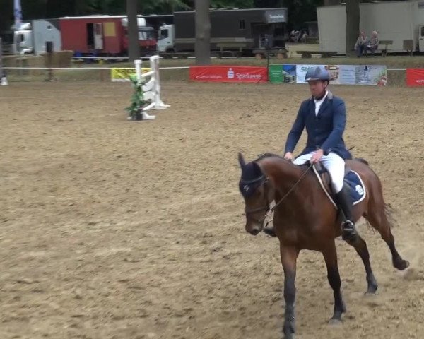 CSN Calvörde 2015