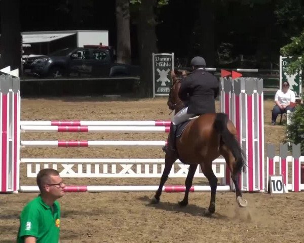 CSN Calvörde 2015