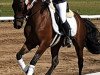 dressage horse Nobilis K (German Riding Pony, 2016, from Nemax)