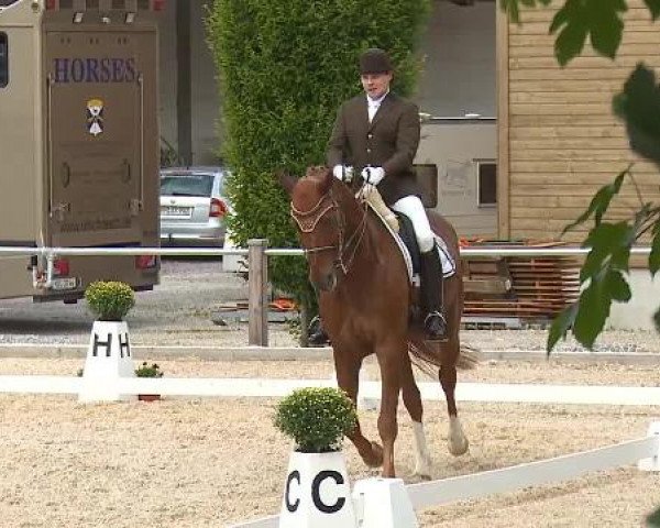 Dressurturnier Brunnthal-Riedhausen 2015
