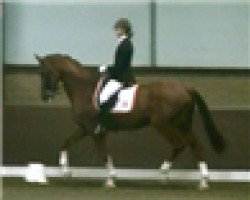 jumper Vincent (KWPN (Royal Dutch Sporthorse), 2002, from Gribaldi)