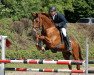 dressage horse Le Roy 7 (unknown, 2001, from Landstar)