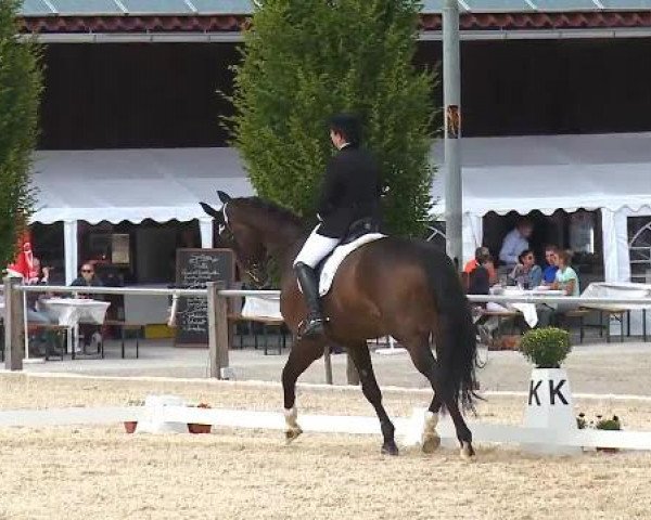 Dressurturnier Brunnthal-Riedhausen 2015