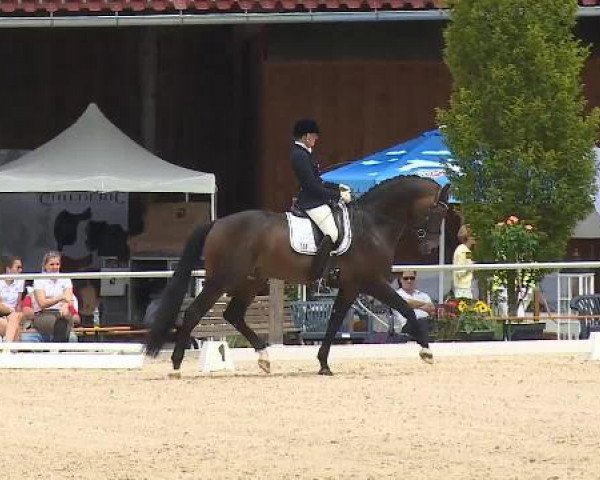 Dressurturnier Brunnthal-Riedhausen 2015