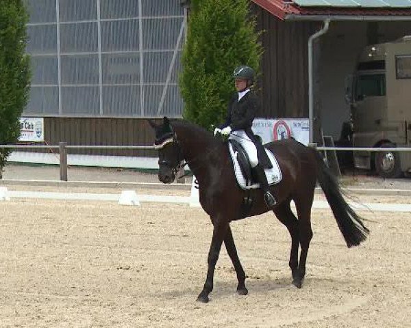 Dressurturnier Brunnthal-Riedhausen 2015