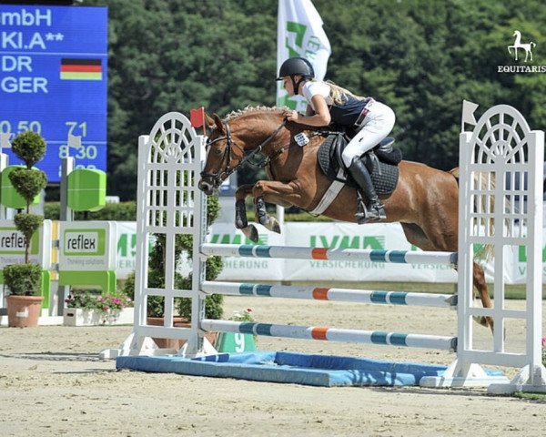 jumper Golden Surprise DH (German Riding Pony, 2014, from Best August)