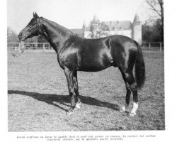 stallion Jacobi xx (Thoroughbred, 1906, from Rabelais xx)