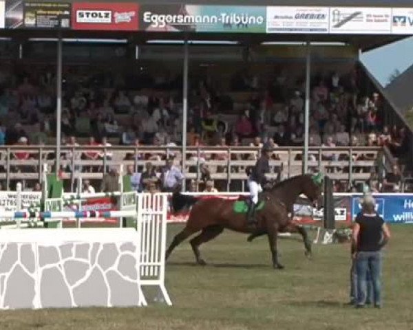 Fehmarn Pferdefestival 2015