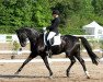 dressage horse High Emotion 3 (Hanoverian, 2006, from High Spirits)