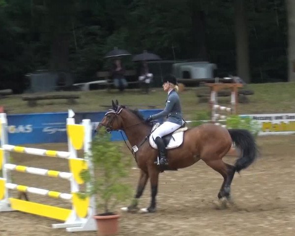 CSN Calvörde 2015