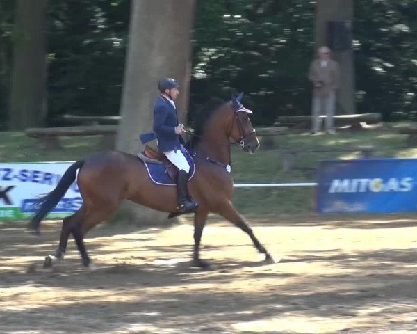 CSN Calvörde 2015