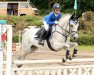 jumper Matcho P (German Riding Pony, 2006, from Magareteau Beau Nash GH)