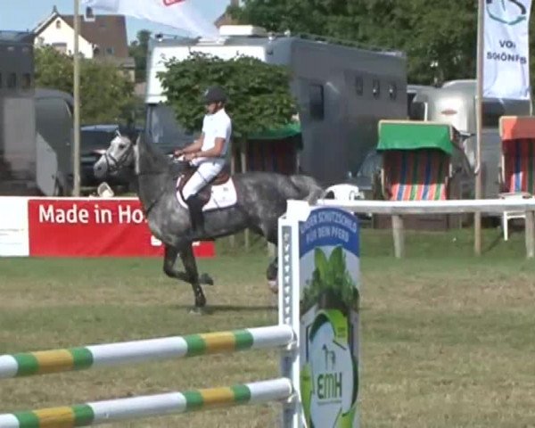 Fehmarn Pferdefestival 2015