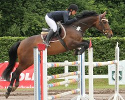 Springpferd Iccug von Schleck (Nederlands Rijpaarden en Pony, 2011, von Ilasso)