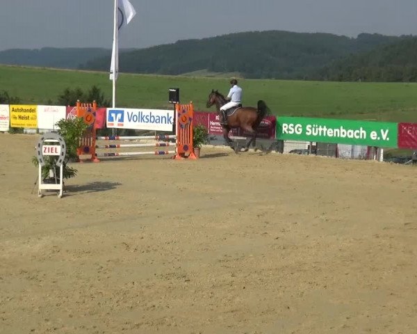 Reitturnier Lindlar-Süttenbach 2015