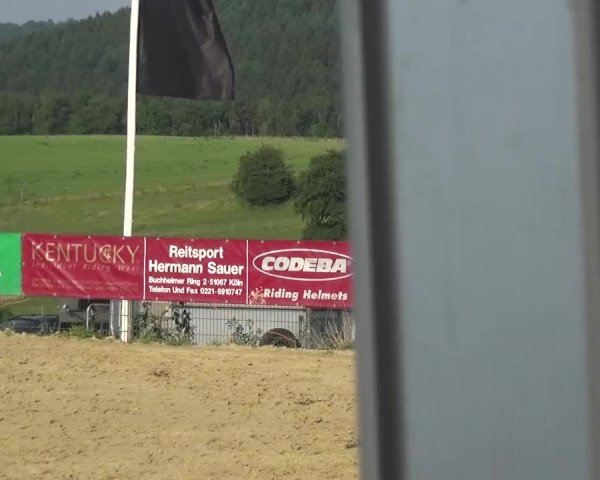 Reitturnier Lindlar-Süttenbach 2015