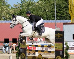 jumper Jet Set van het Meerdaalhof (Belgian Warmblood, 2009, from Winningmood van de Arenberg)