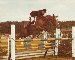 broodmare Ruth (KWPN (Royal Dutch Sporthorse), 1975, from Leander)