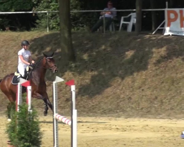 Reitturnier Viersen-Dülken 2015