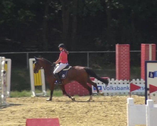 Reitturnier Viersen-Dülken 2015