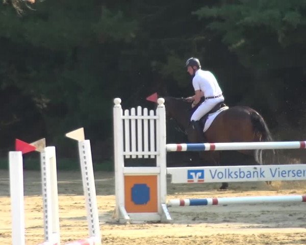 Reitturnier Viersen-Dülken 2015